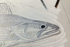 IMG_20250728_202930-scaled