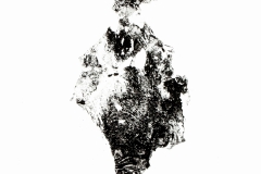Totem