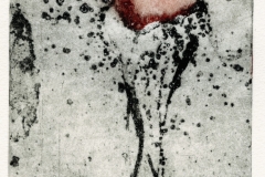 Erosion